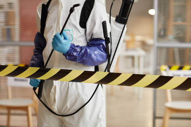Professional Sewage Cleanup technician working in Jensen Beach, FL